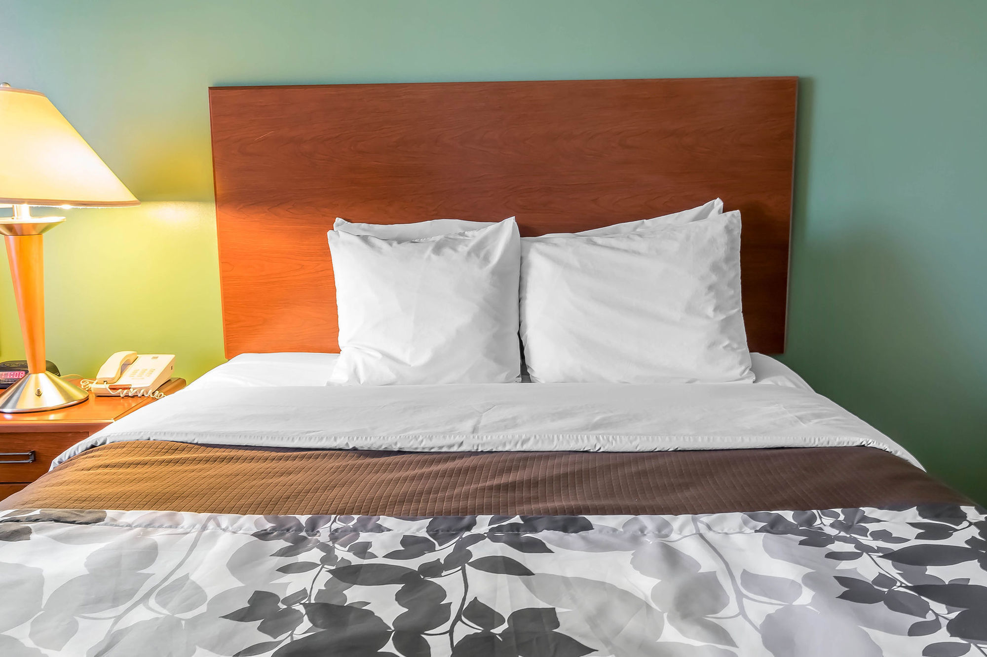 Spark By Hilton Shepherdsville Louisville South Quarto foto