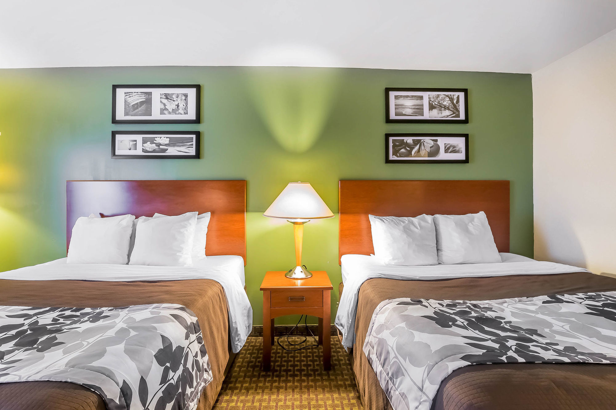 Spark By Hilton Shepherdsville Louisville South Quarto foto